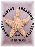 WMAS Logo