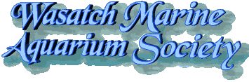 Wasatch Marine Aquarium Society